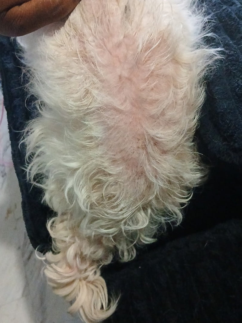 Dry, Flaky-Looking Skin