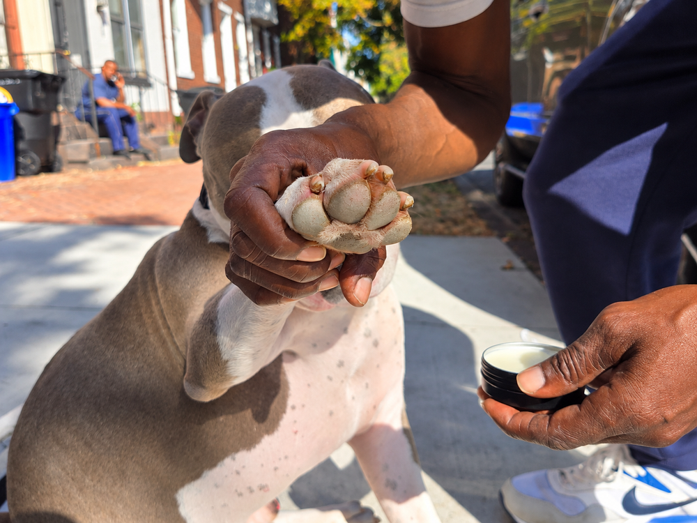 Paw + Nose Balm